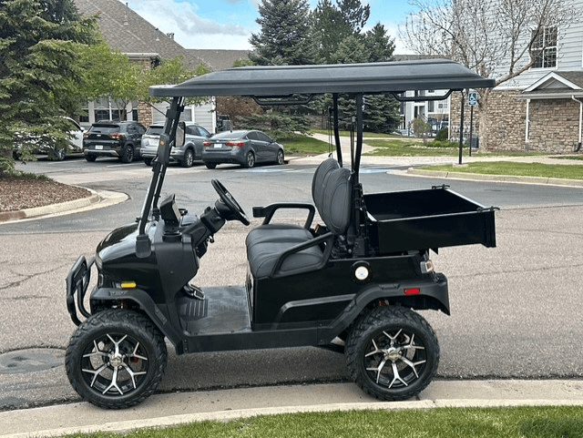 Custom-built Denago EV
